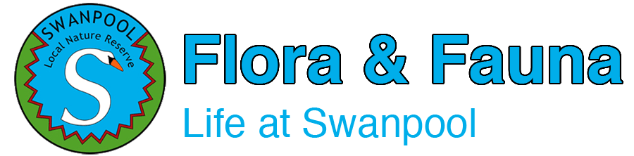 Flora and Fauna, Swanpool local nature reserve, Swanpool, Falmouth, Cornwall