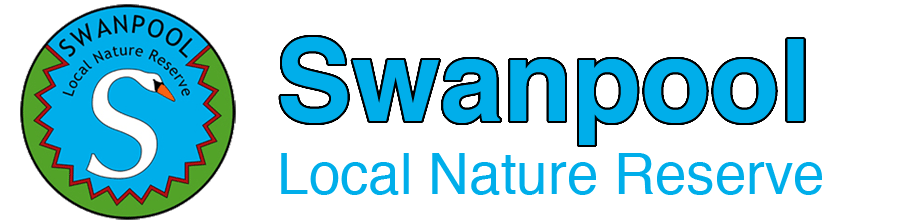 Swanpool, nature, reserve, swanpool nature reserve, swanpool, falmouth, cornwall, swans, lake falmouth, wildlife, local, swanpool beach, trembling sea mat, swanpool management forum.